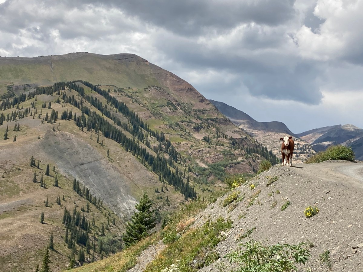 On 2020, Change, &&nbsp;Resilience